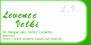 levente velki business card